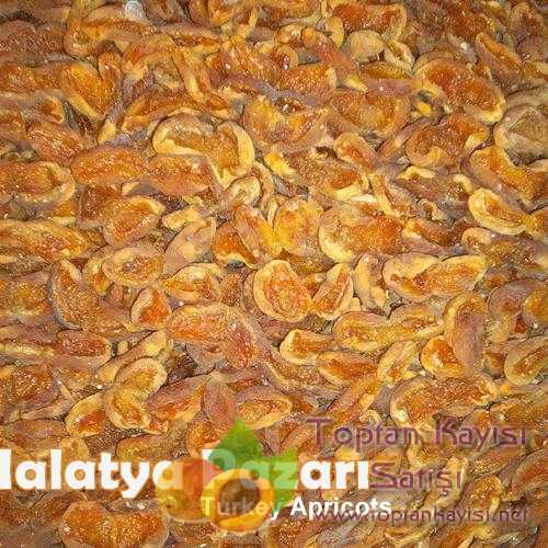 toptan-kayisi-kabuk-1 (1)