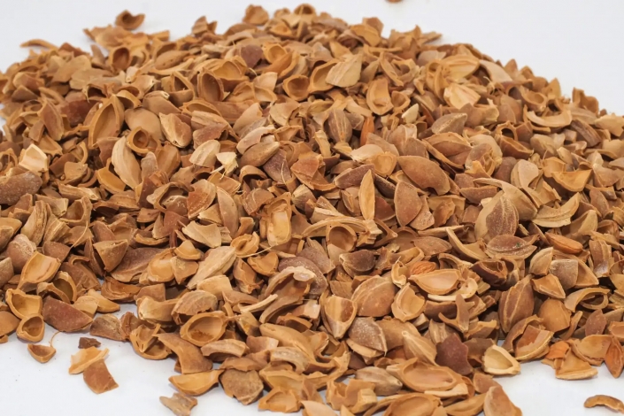 toptan-kayisi-kabuk-1 (2)